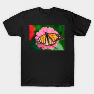 Monarch Butterfly's Wings Photograph T-Shirt